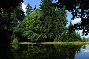 Umgebung Haus Maria Lindenberg mit Blick auf den Schwarzwald