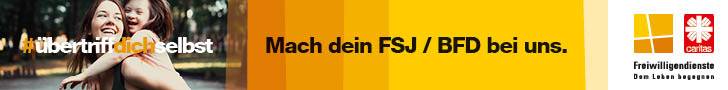Ansicht Werbebanner für FSJ mit Frau und Kind